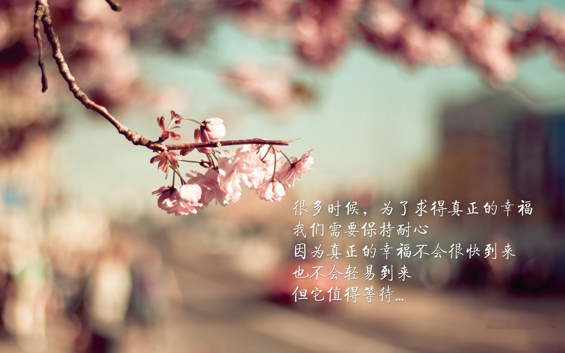 开云体育APP下载-北欧风暴席卷伯纳乌，当丹麦铁骑在抢七之夜冲垮银河战舰