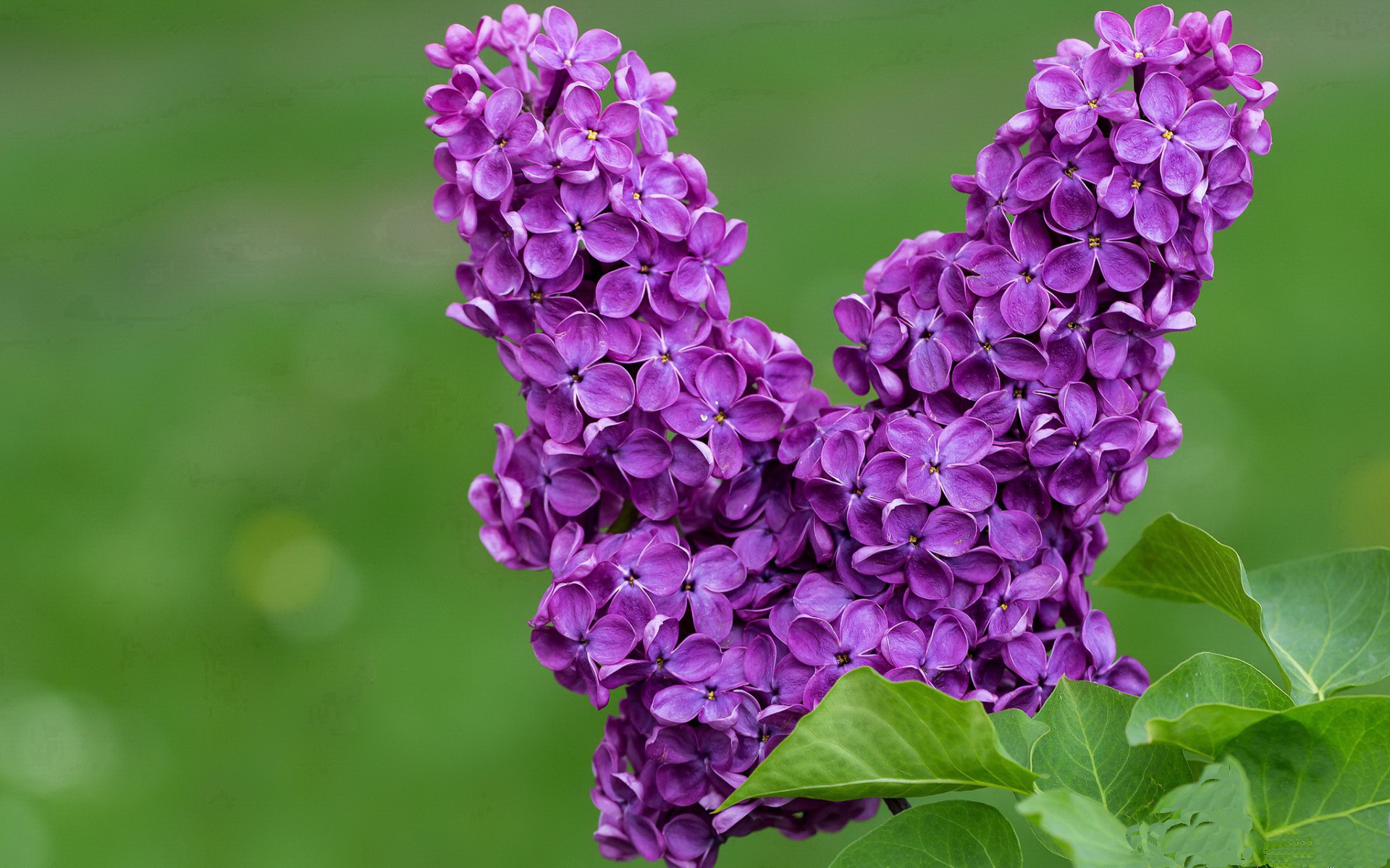 开云平台-玄铁重剑破长空，布克与他的反高潮英雄主义
