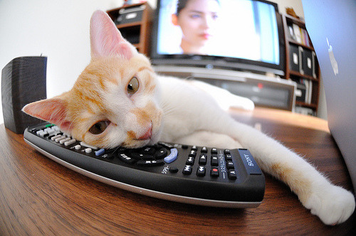 节拍器与奇迹，法比尼奥的千场刻度，刻下克罗地亚与塞内加尔的战痕