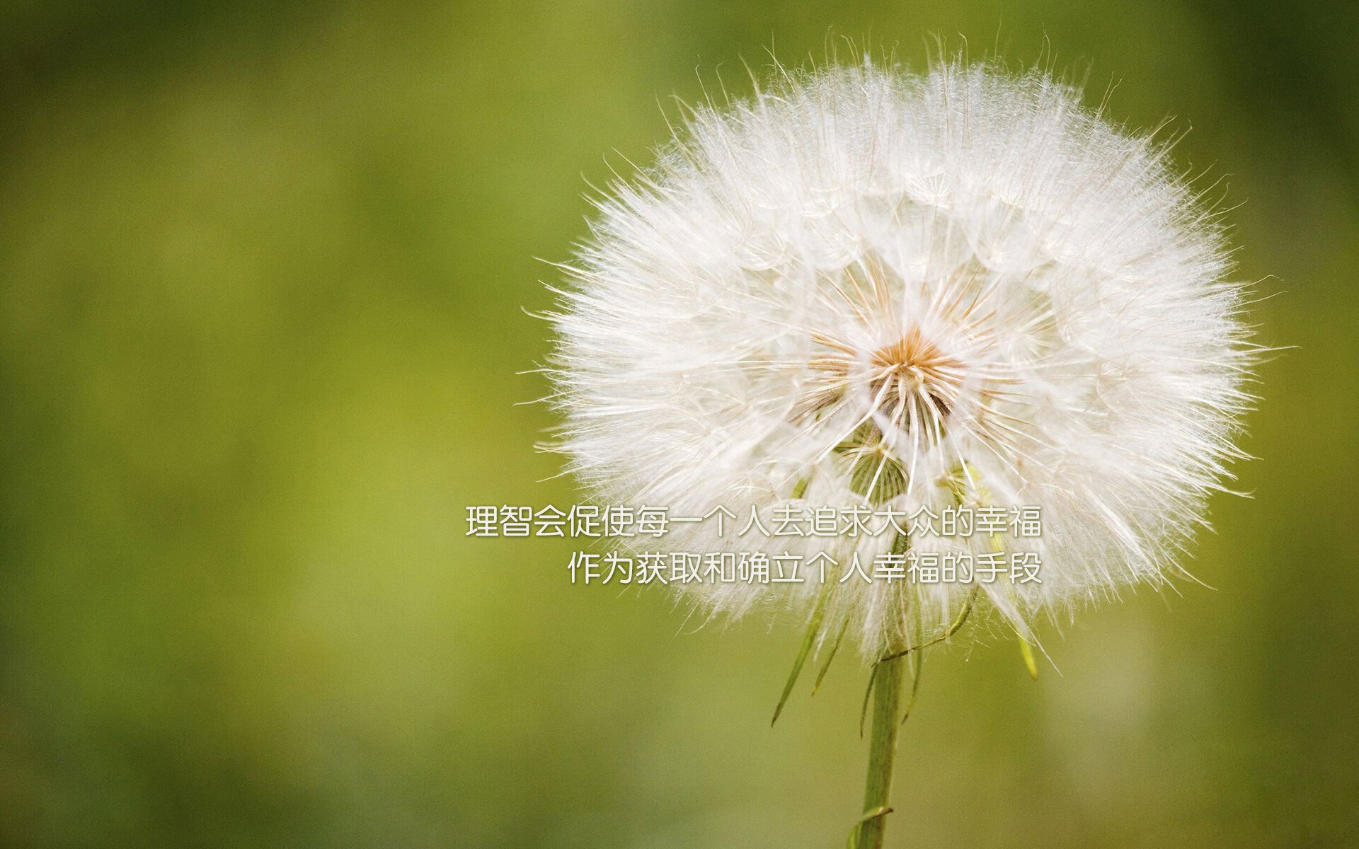 开云体育APP下载-1.侧重战术与均衡）钢铁防线与青春风暴，比利时如何用唯一的平衡，在2026世界杯G组踢碎芬兰