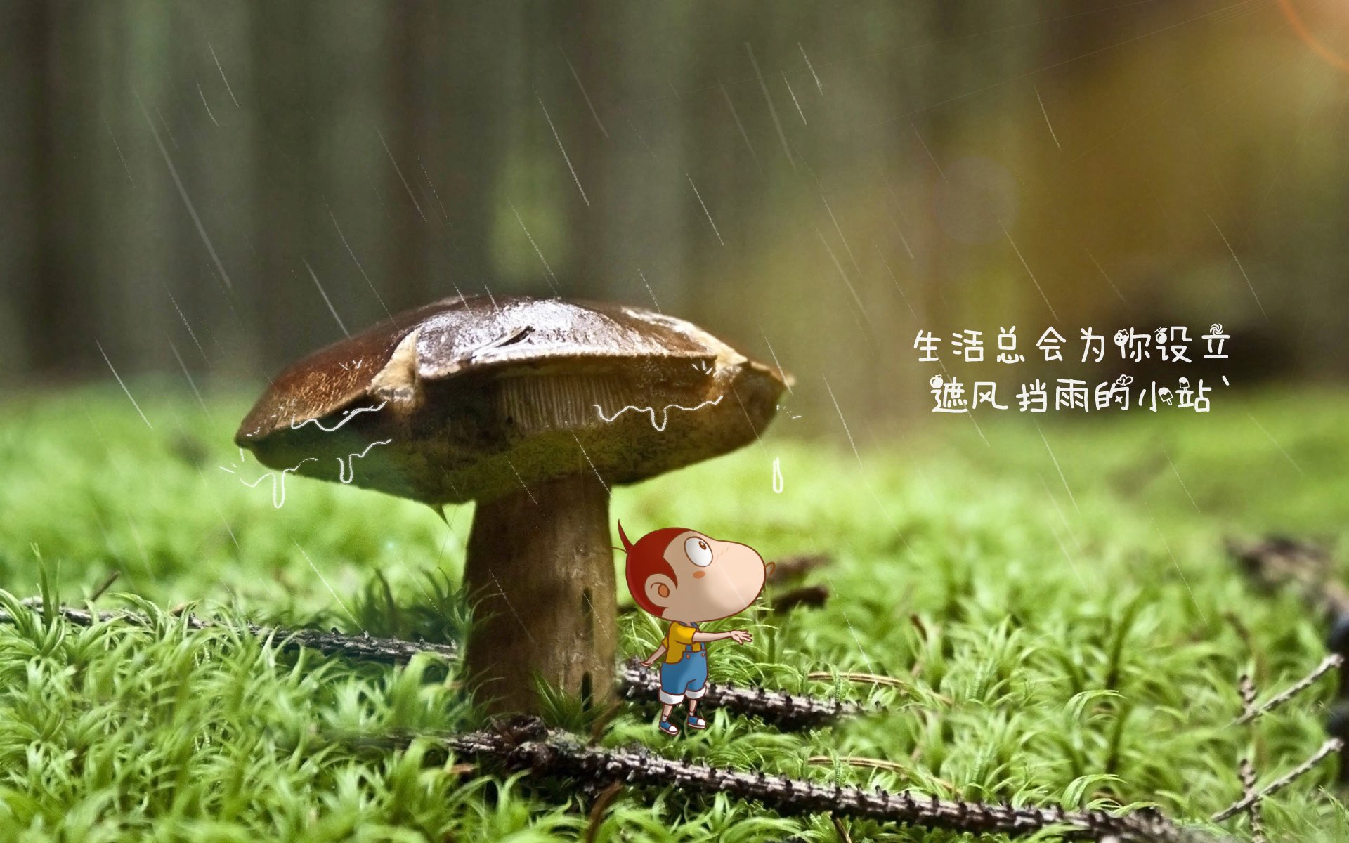 2026世界杯血案,智利铁骑碾碎日耳曼战车,托纳利封神之夜与门将天堑改写足球宿命